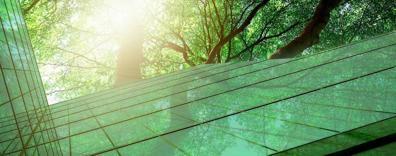 Sustainability & ESG